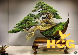 Cây xanh phong thủy